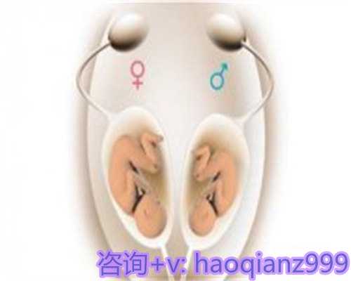 天津代怀生子网供卵流程！西青区高端卵子库盲选服务
