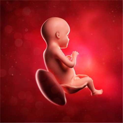 天津借腹生子收费标准！北辰区找靠谱孕妈生男孩费用